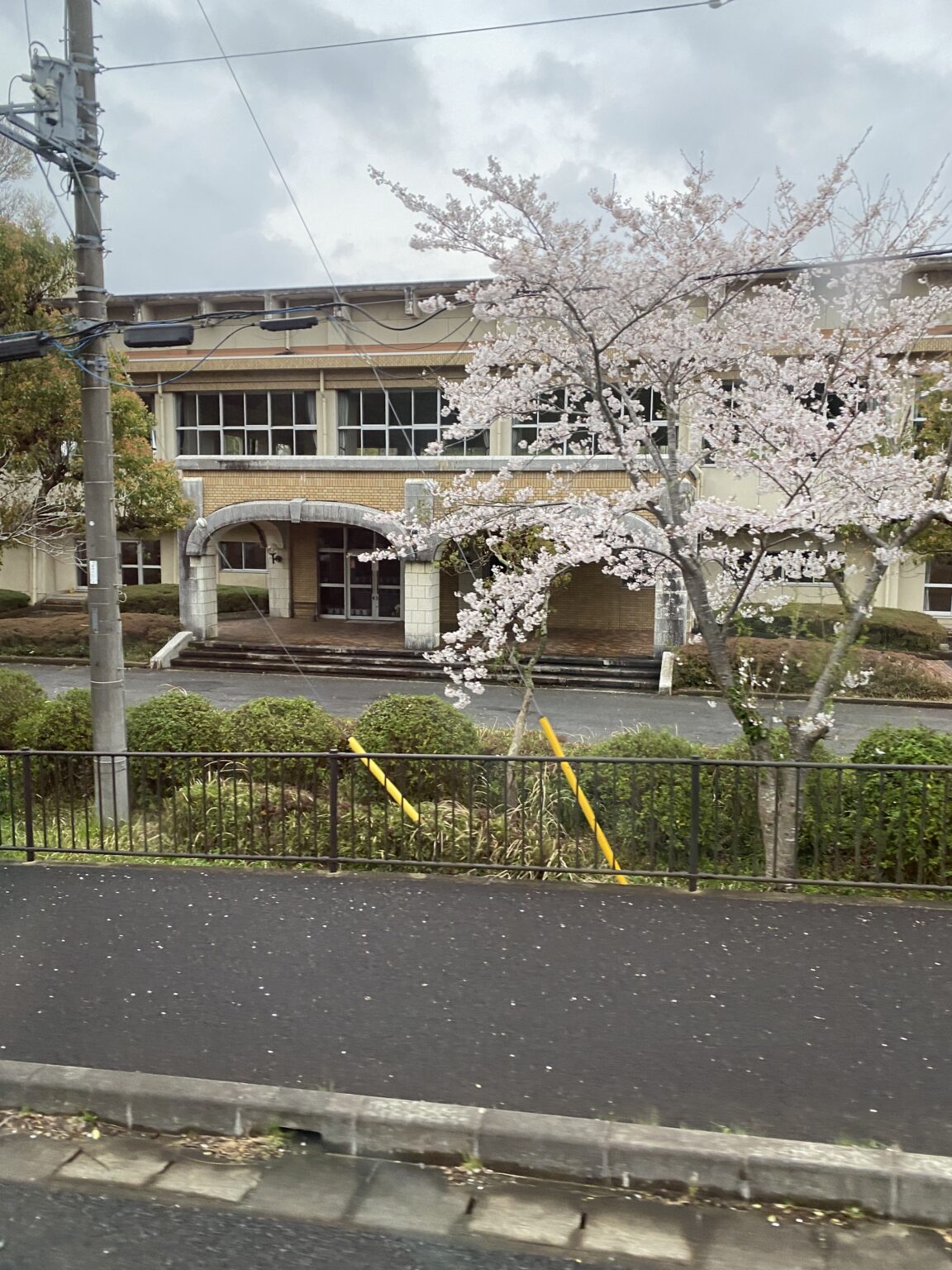 多古町で二階建てバスに乗り桜を見ました。